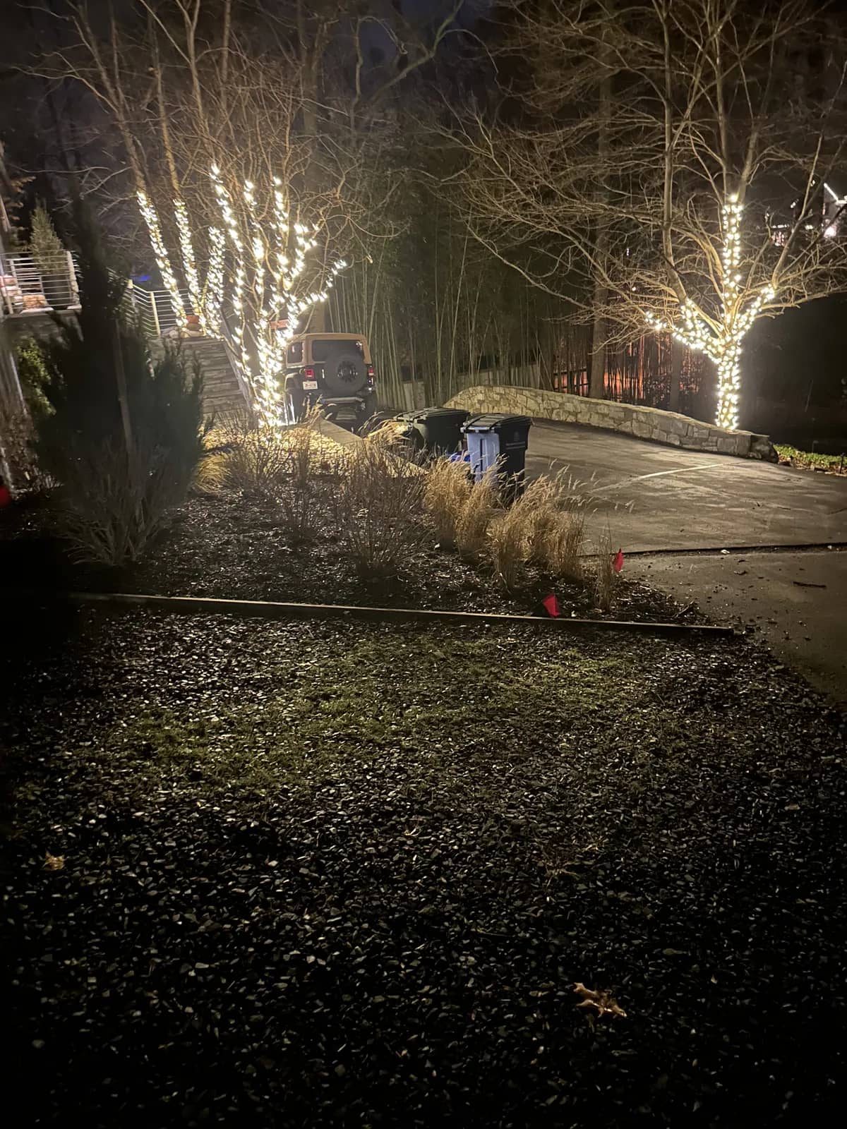 Christmas light installation in Capitol Hill, DC — LightDMV