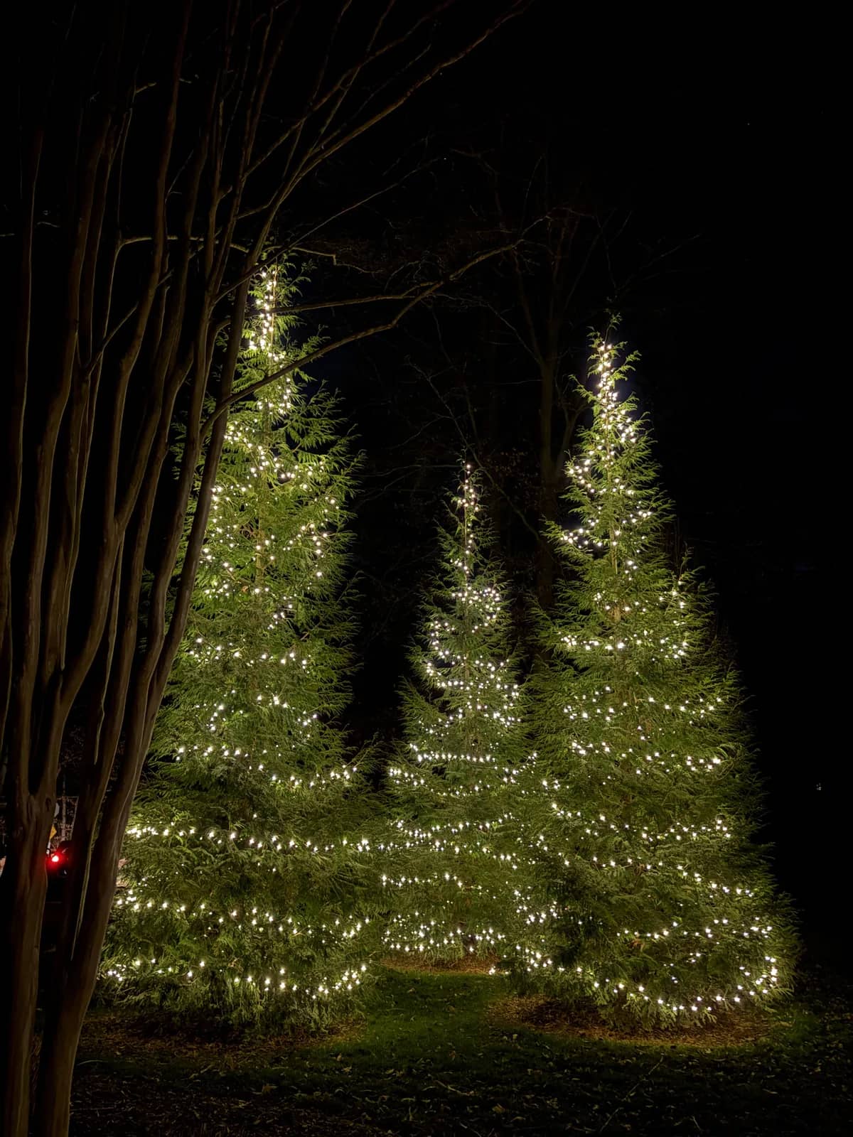 Christmas light installation in Great Falls, VA — LightDMV