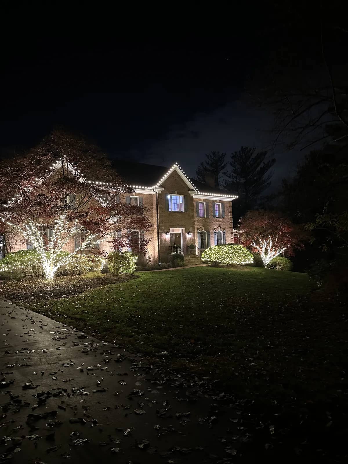Christmas light installation in Silver Spring, MD — LightDMV