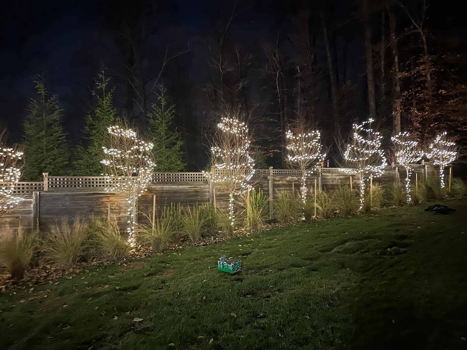 Christmas light installation in Capitol Hill, DC — LightDMV