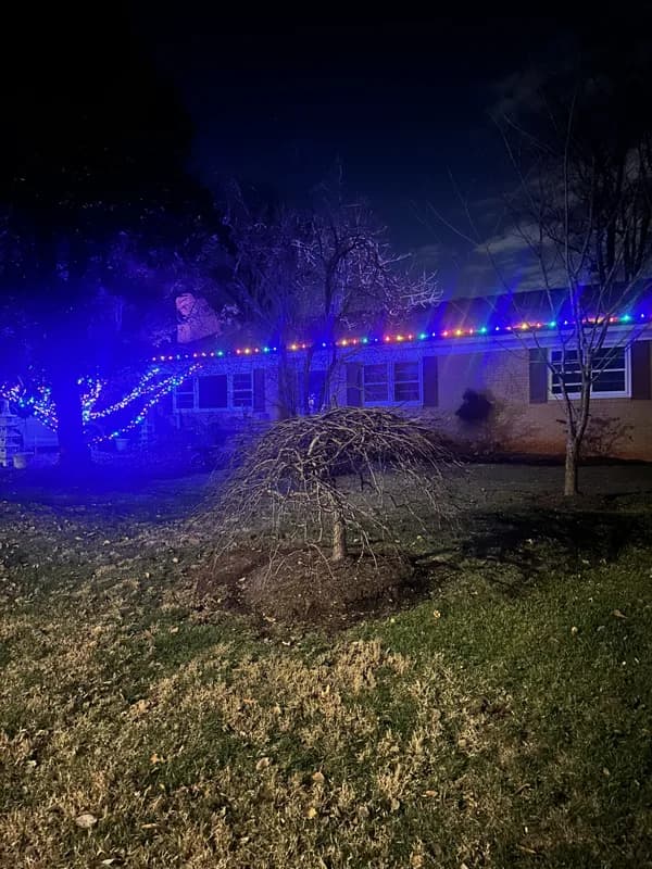 Christmas light installation in Arlington, VA — LightDMV