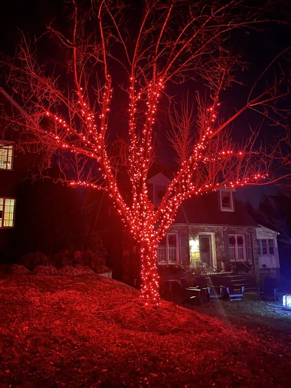 Christmas light installation in Arlington, VA — LightDMV