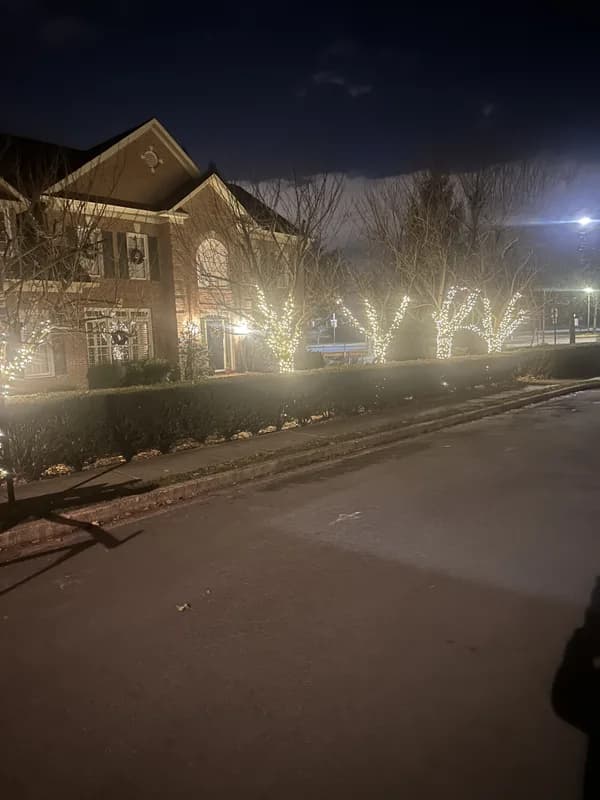Christmas light installation in Arlington, VA — LightDMV