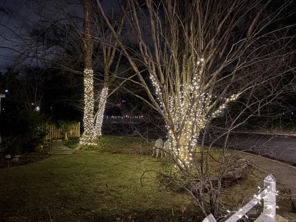 Christmas light installation in Arlington, VA — LightDMV