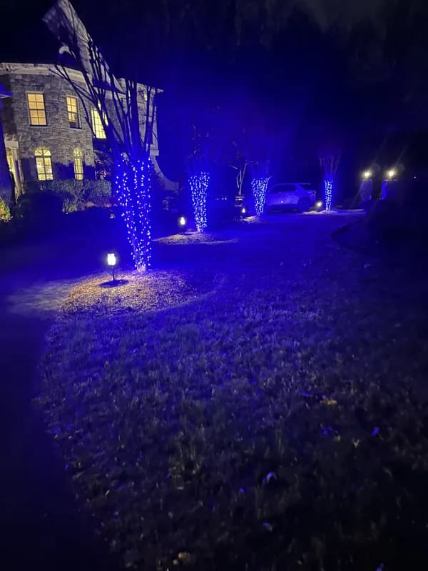 Christmas light installation in Bethesda, MD — LightDMV