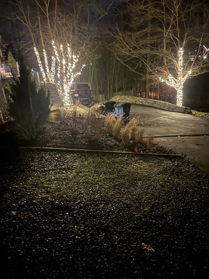 Christmas light installation in Capitol Hill, DC — LightDMV