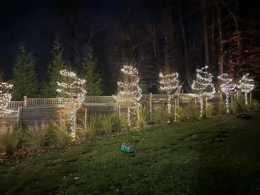 Christmas light installation in Capitol Hill, DC — LightDMV