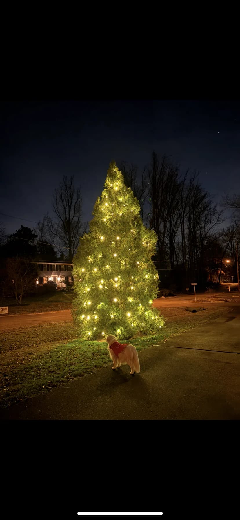 Christmas light installation in Capitol Hill, DC — LightDMV