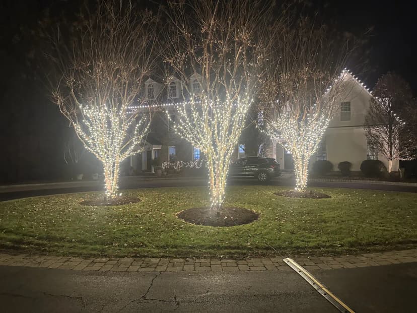 Christmas light installation in Capitol Hill, DC — LightDMV