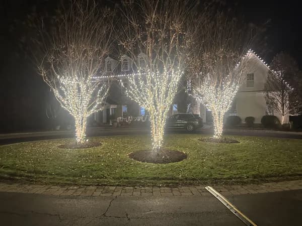 Christmas light installation in Capitol Hill, DC — LightDMV