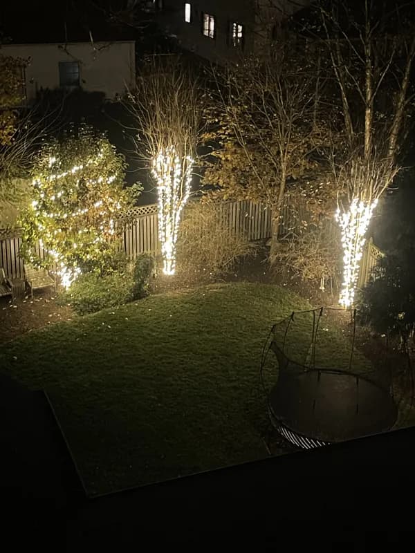 Christmas light installation in Georgetown, DC — LightDMV