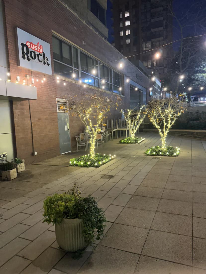 Christmas light installation in Germantown, MD — LightDMV