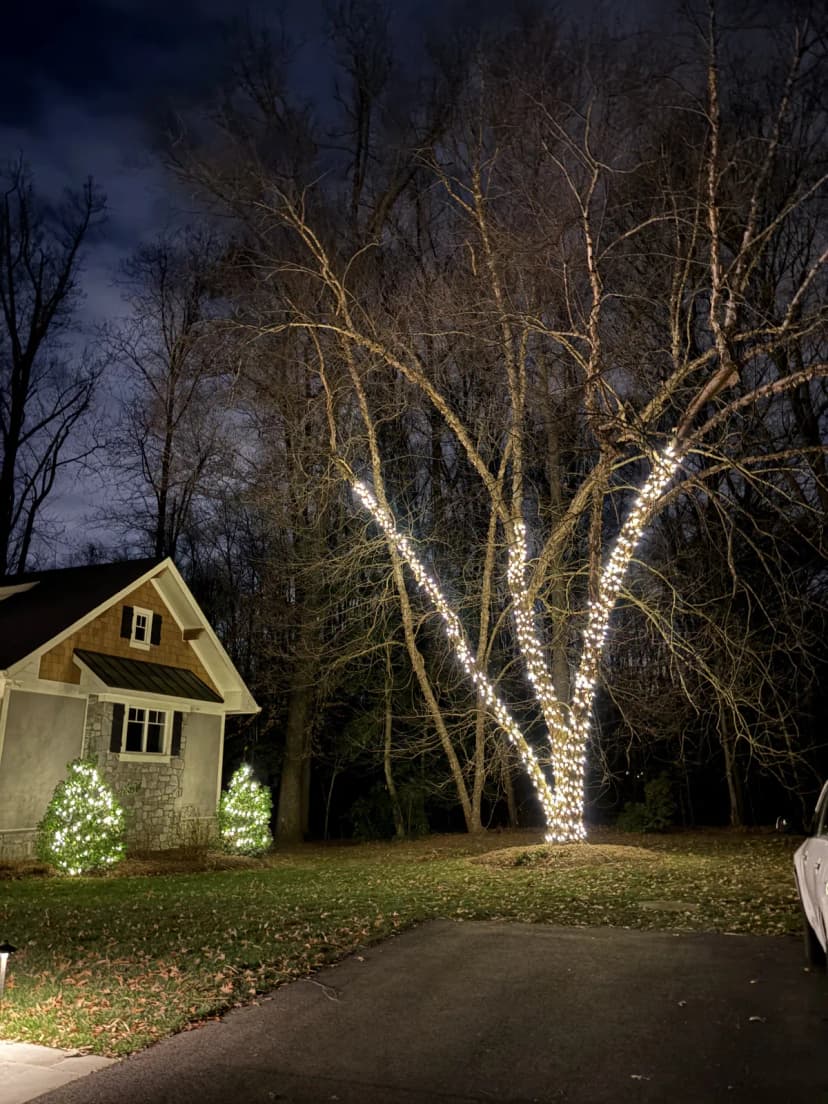 Christmas light installation in Great Falls, VA — LightDMV