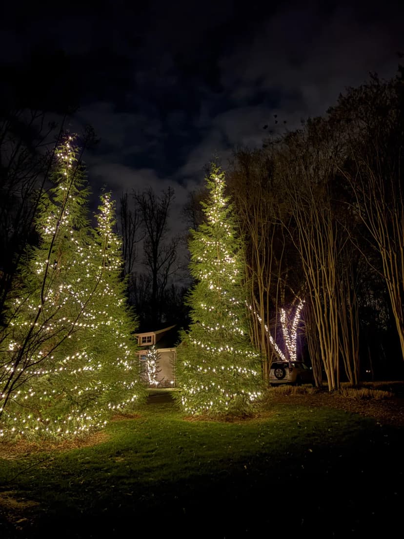 Christmas light installation in Great Falls, VA — LightDMV