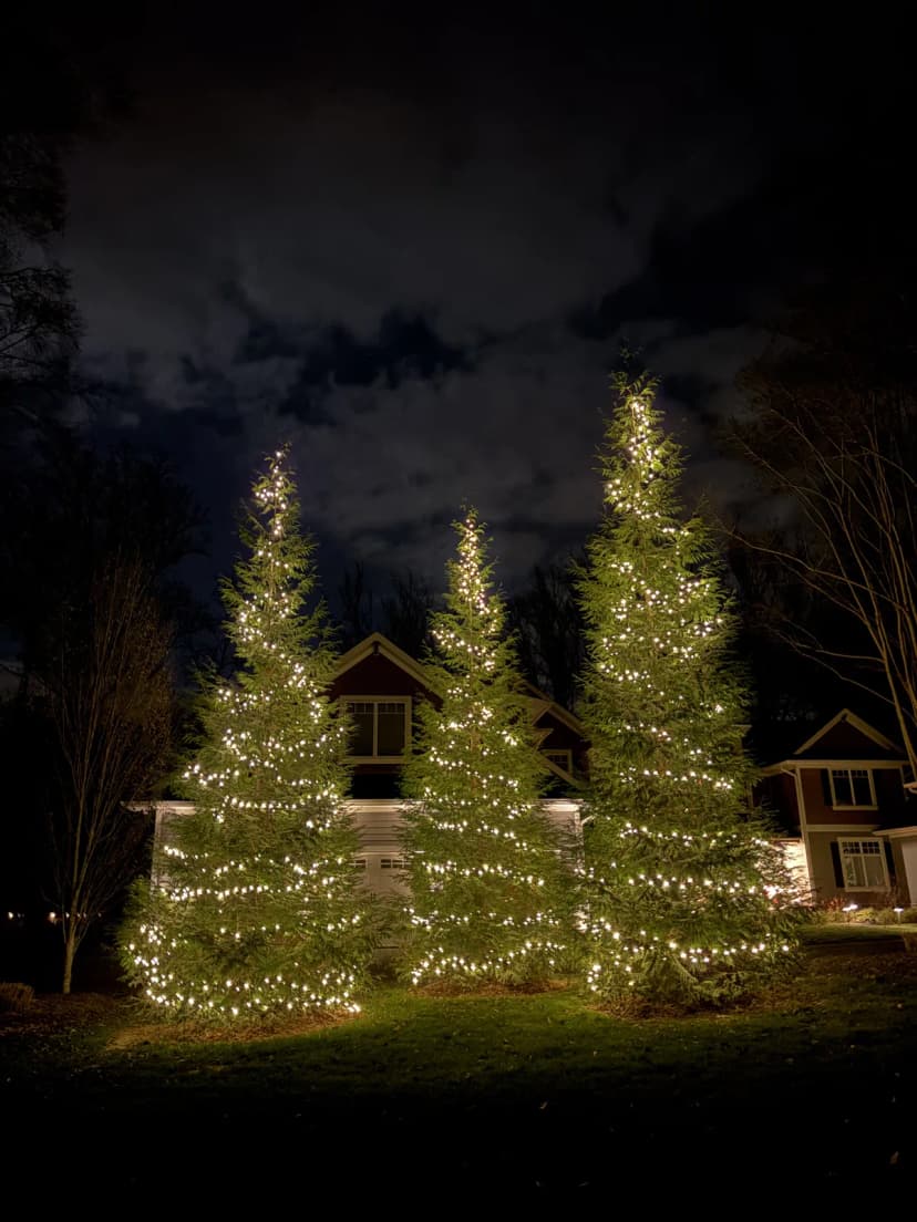Christmas light installation in Great Falls, VA — LightDMV