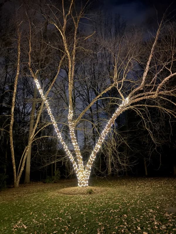 Christmas light installation in Great Falls, VA — LightDMV