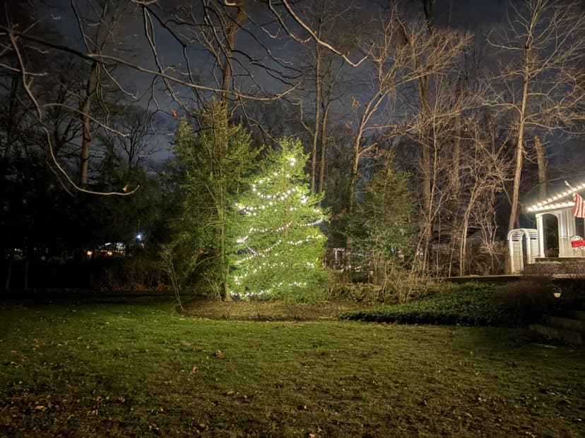 Christmas light installation in Great Falls, VA — LightDMV