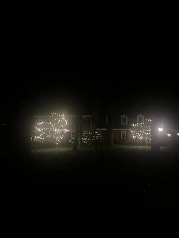 Christmas light installation in McLean, VA — LightDMV