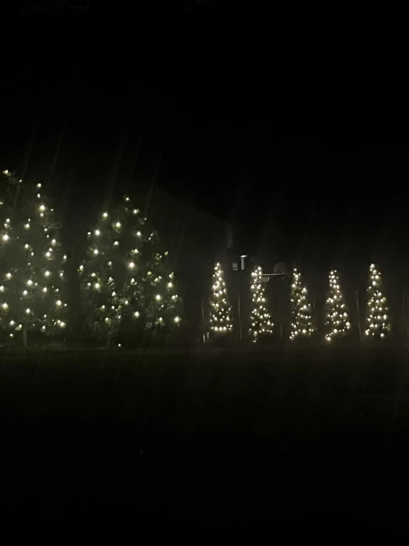 Christmas light installation in North Potomac, MD — LightDMV