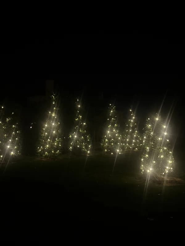 Christmas light installation in North Potomac, MD — LightDMV