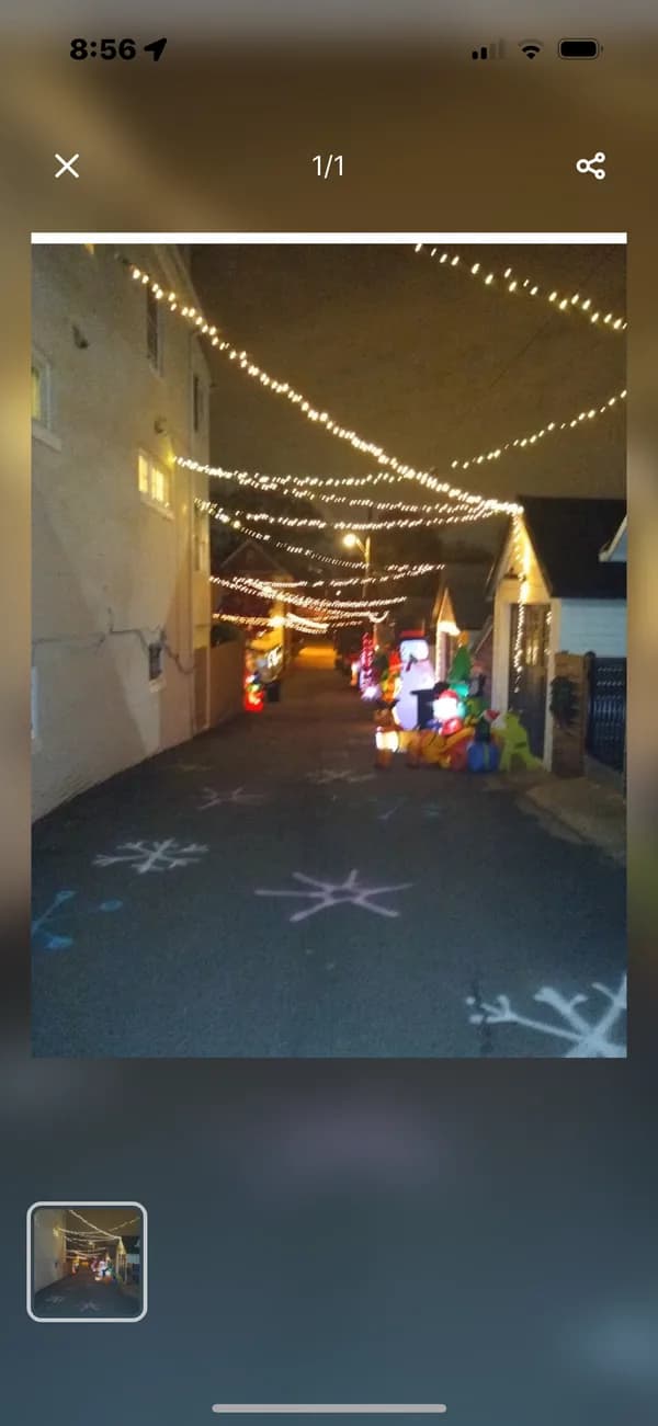 Christmas light installation in Palisades, DC — LightDMV