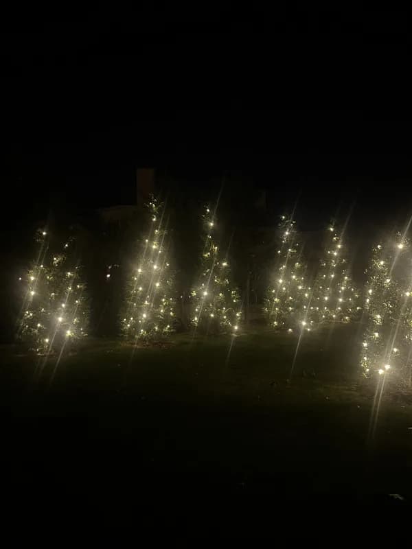 Christmas light installation in Travilah, MD — LightDMV