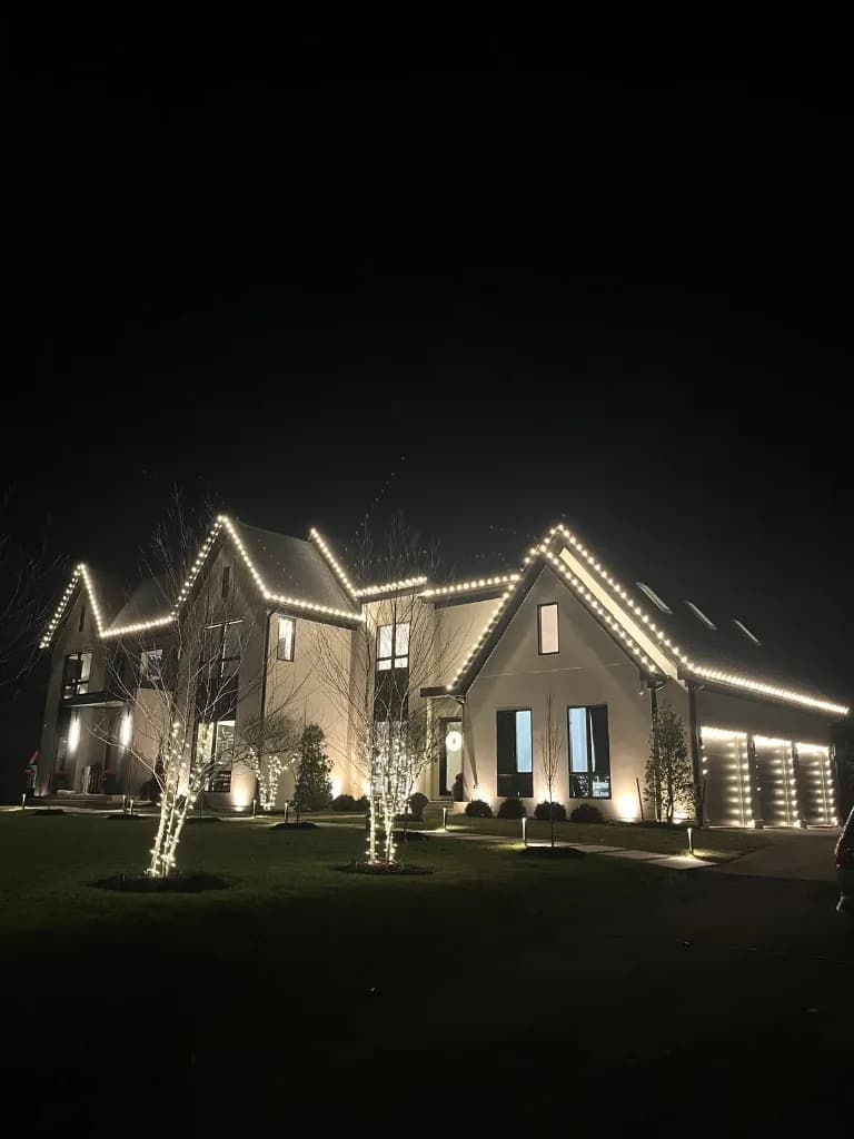 Christmas light installation in the DMV — warm white roofline and tree wrap on a modern home