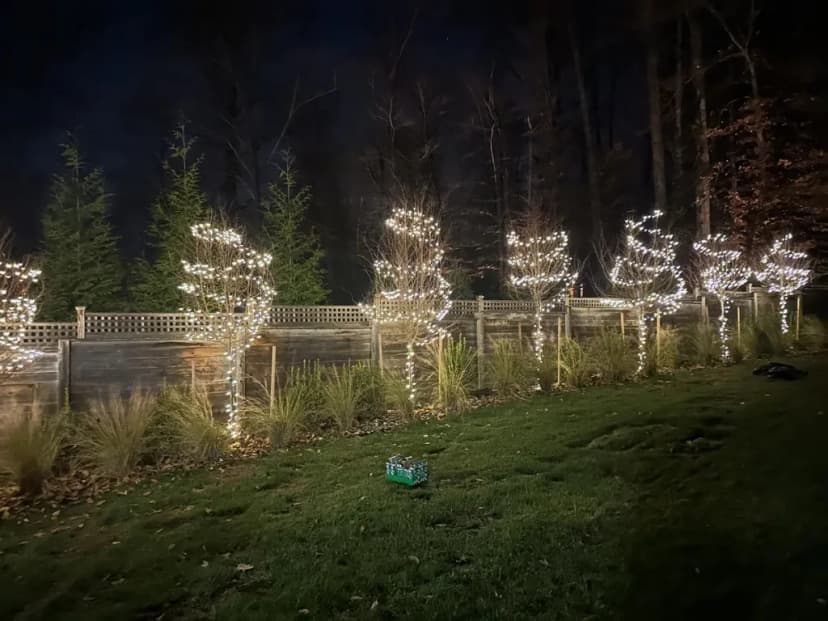 Christmas light installation in the DMV — tree wrap lighting on a backyard tree line