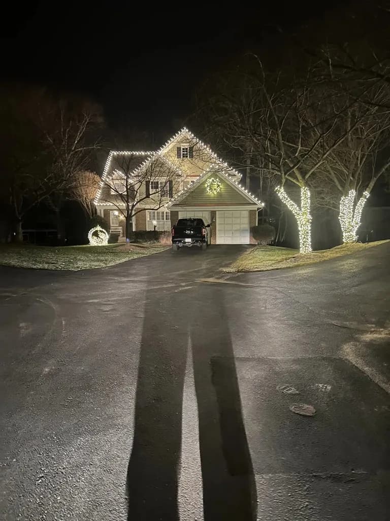 Christmas light installation in the DMV — roofline and tree lighting from the driveway