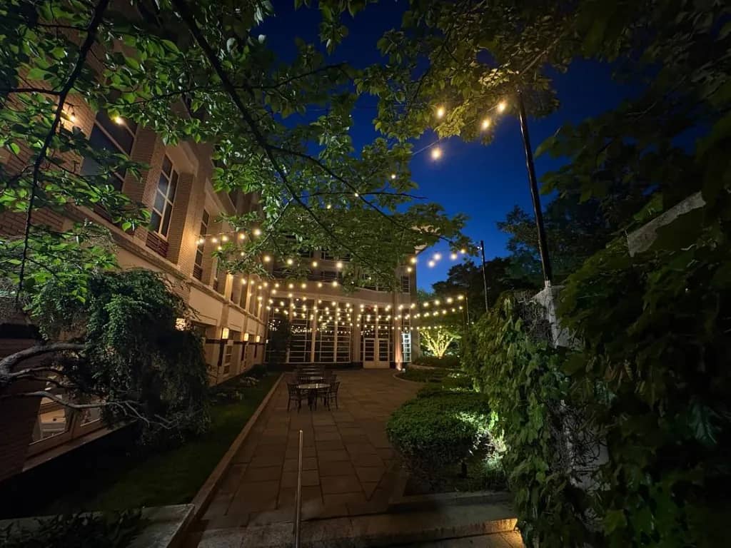 Warm bistro string lights draped over a patio at dusk in the DMV by Light DMV