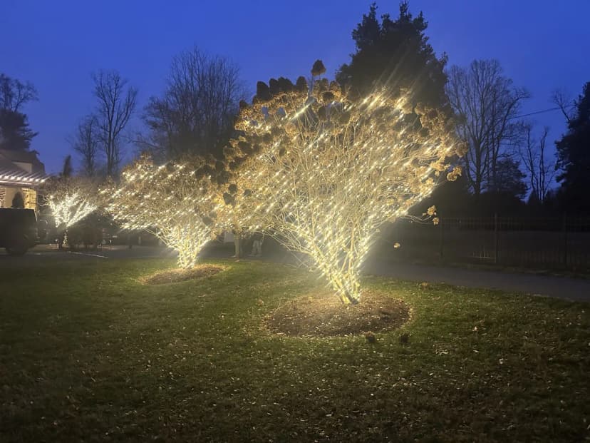 Christmas light installation in Foxhall, DC — LightDMV