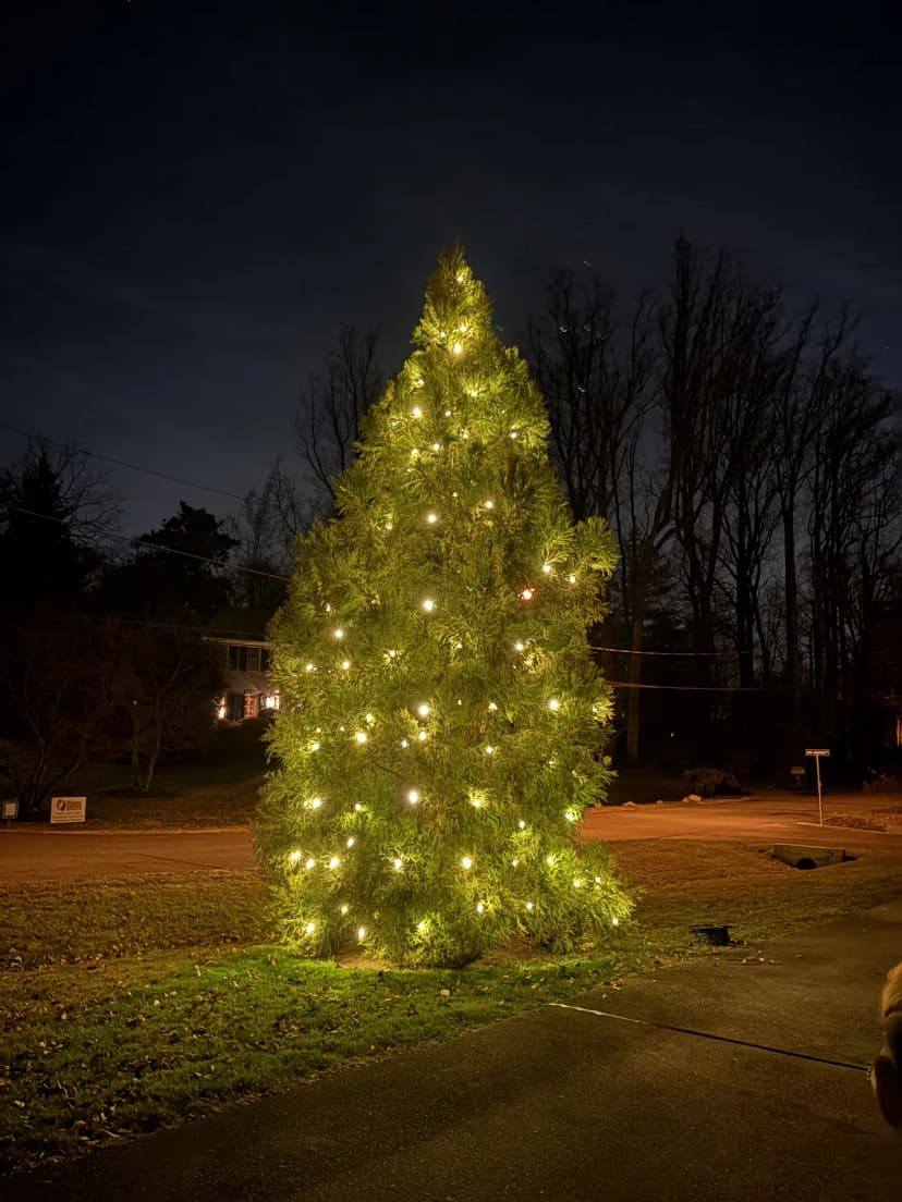 Christmas light installation in Foxhall, DC — LightDMV