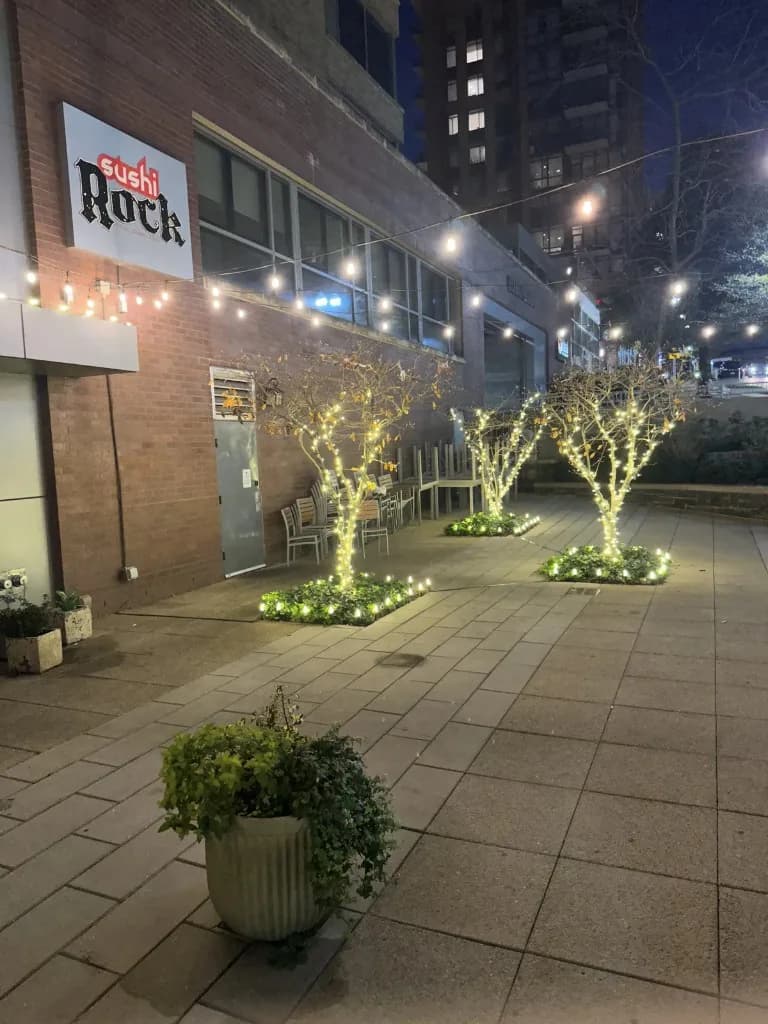 Commercial Christmas light installation on a restaurant facade in Washington, DC by Light DMV