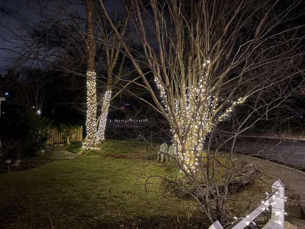 Christmas light installation in Arlington, VA — LightDMV
