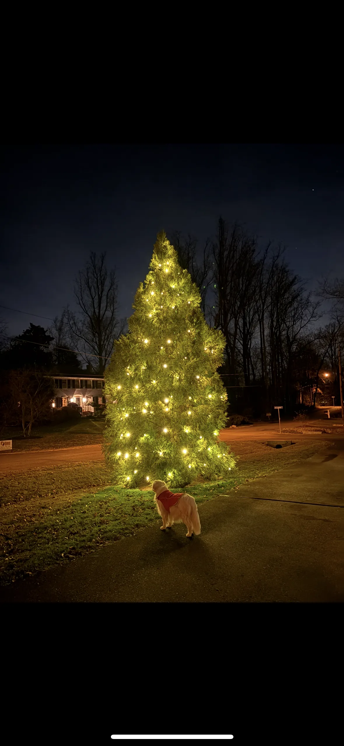 Christmas light installation in Capitol Hill, DC — LightDMV