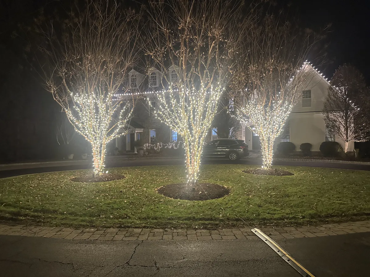 Christmas light installation in Kensington, MD — LightDMV