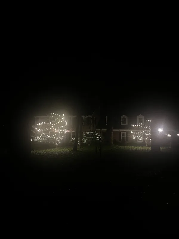 Christmas light installation in McLean, VA — LightDMV
