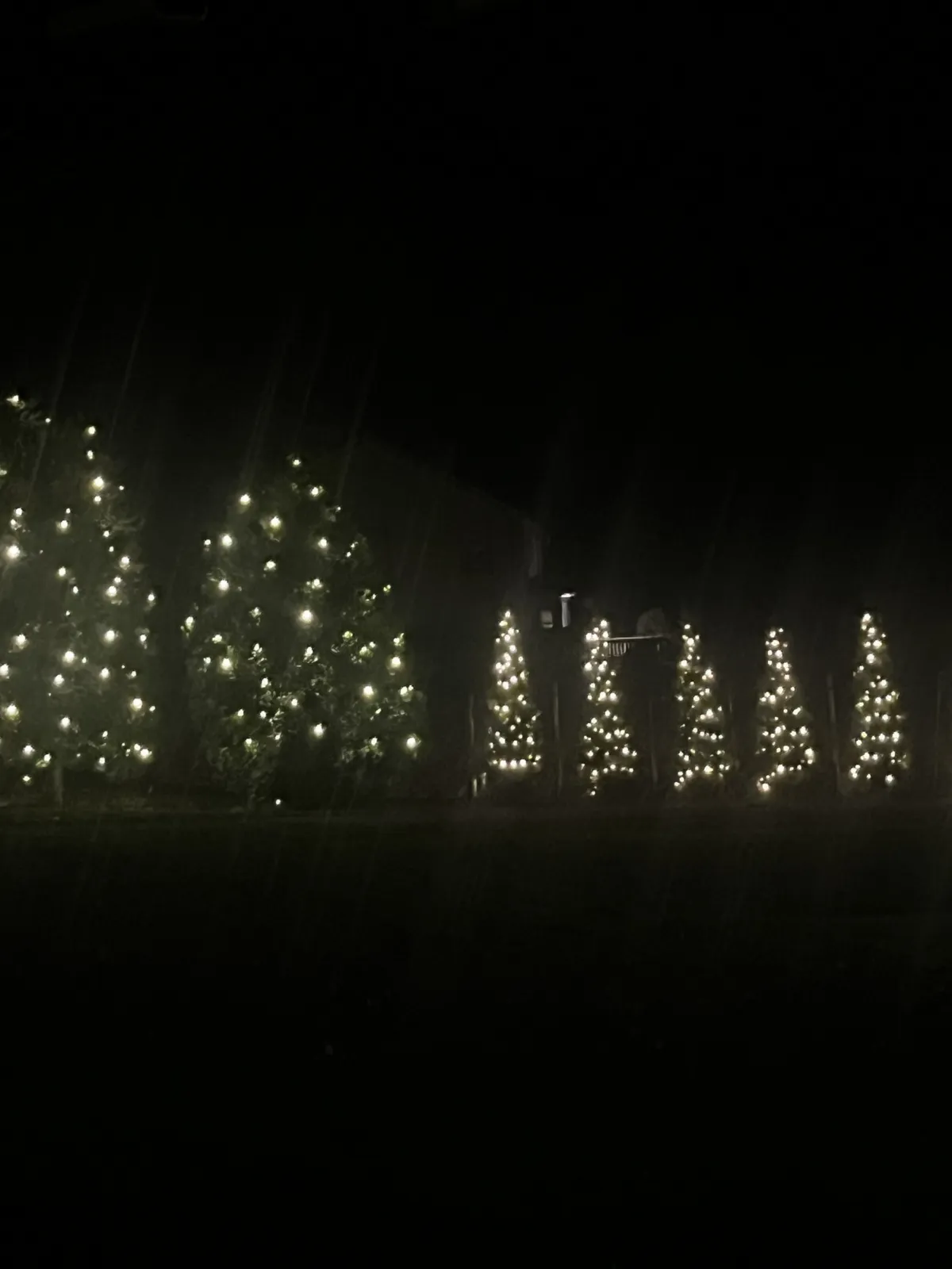 Christmas light installation in North Potomac, MD — LightDMV