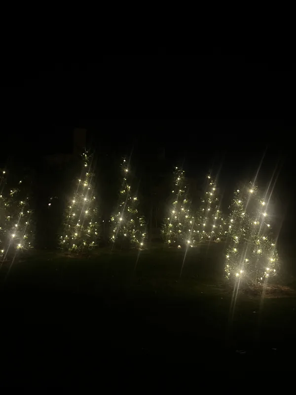 Christmas light installation in North Potomac, MD — LightDMV