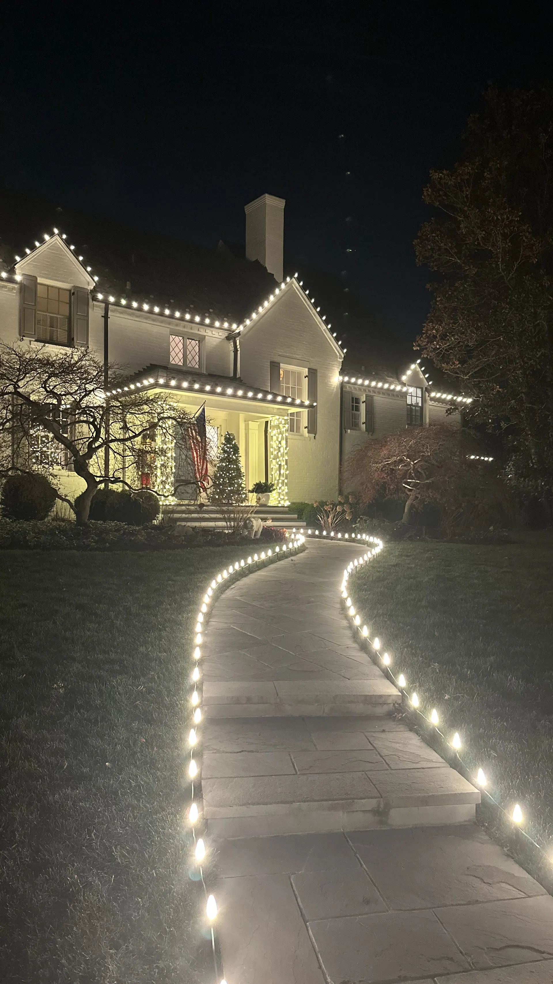 Christmas light installation in Palisades, DC — LightDMV