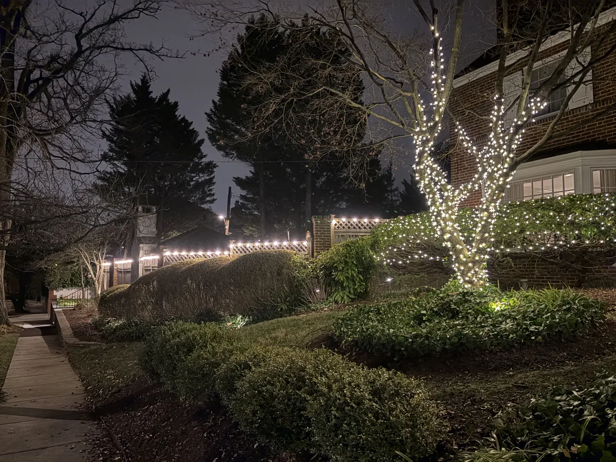 Christmas light installation in Tenleytown, DC — LightDMV