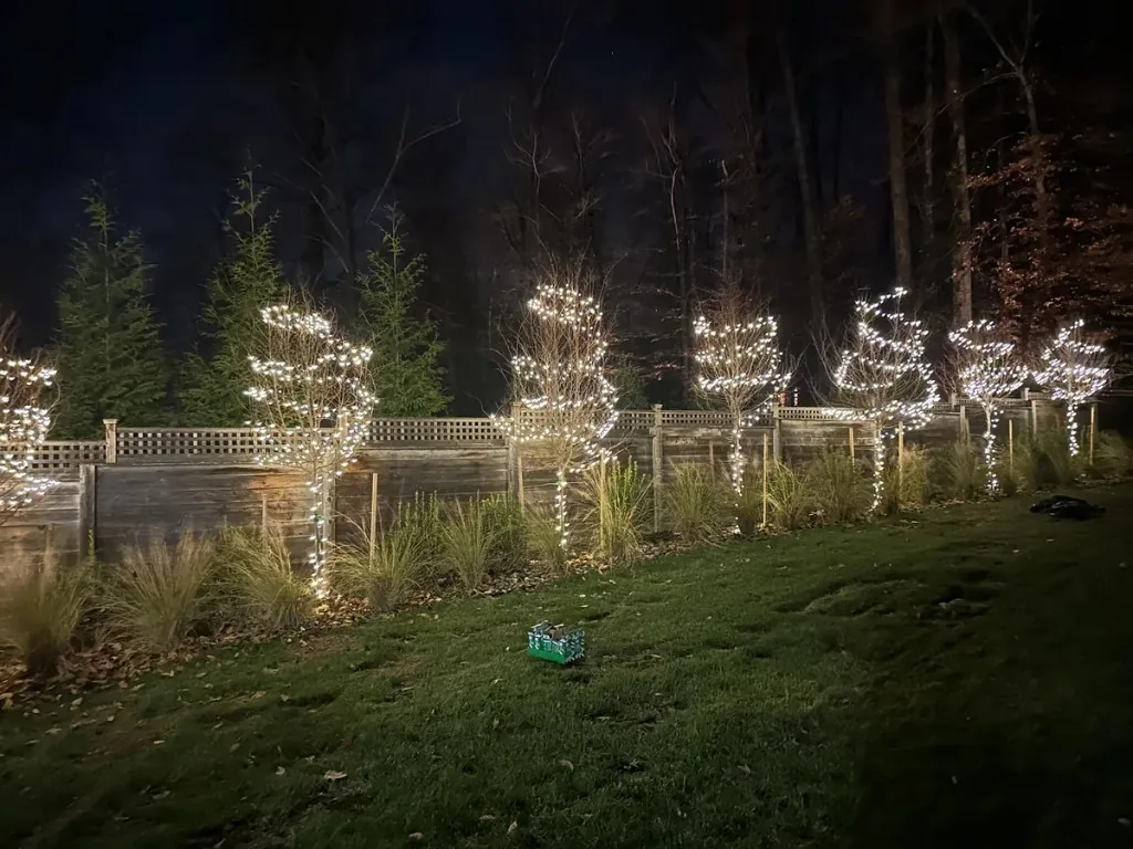 Christmas light installation in the DMV — tree wrap lighting on a backyard tree line
