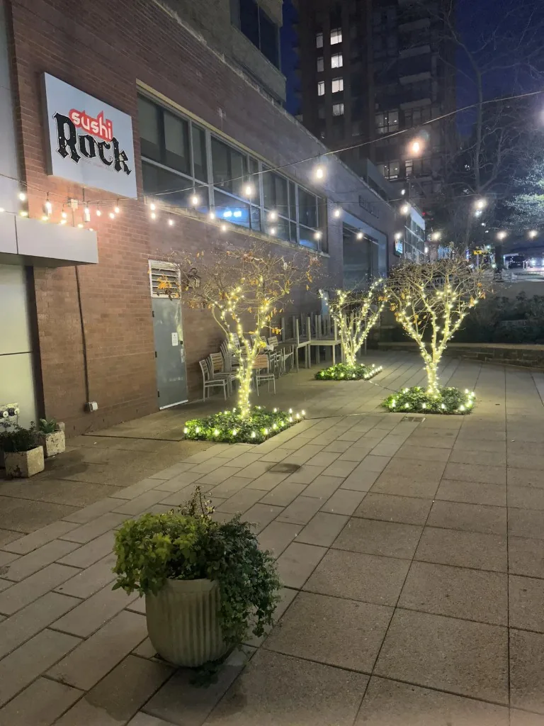 Christmas light installation in the DMV — string and facade lighting on a restaurant exterior